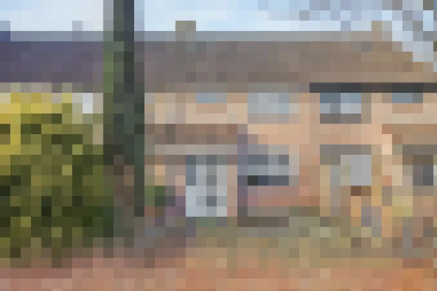 Meibloem 16 Opmeer thumbnail 5