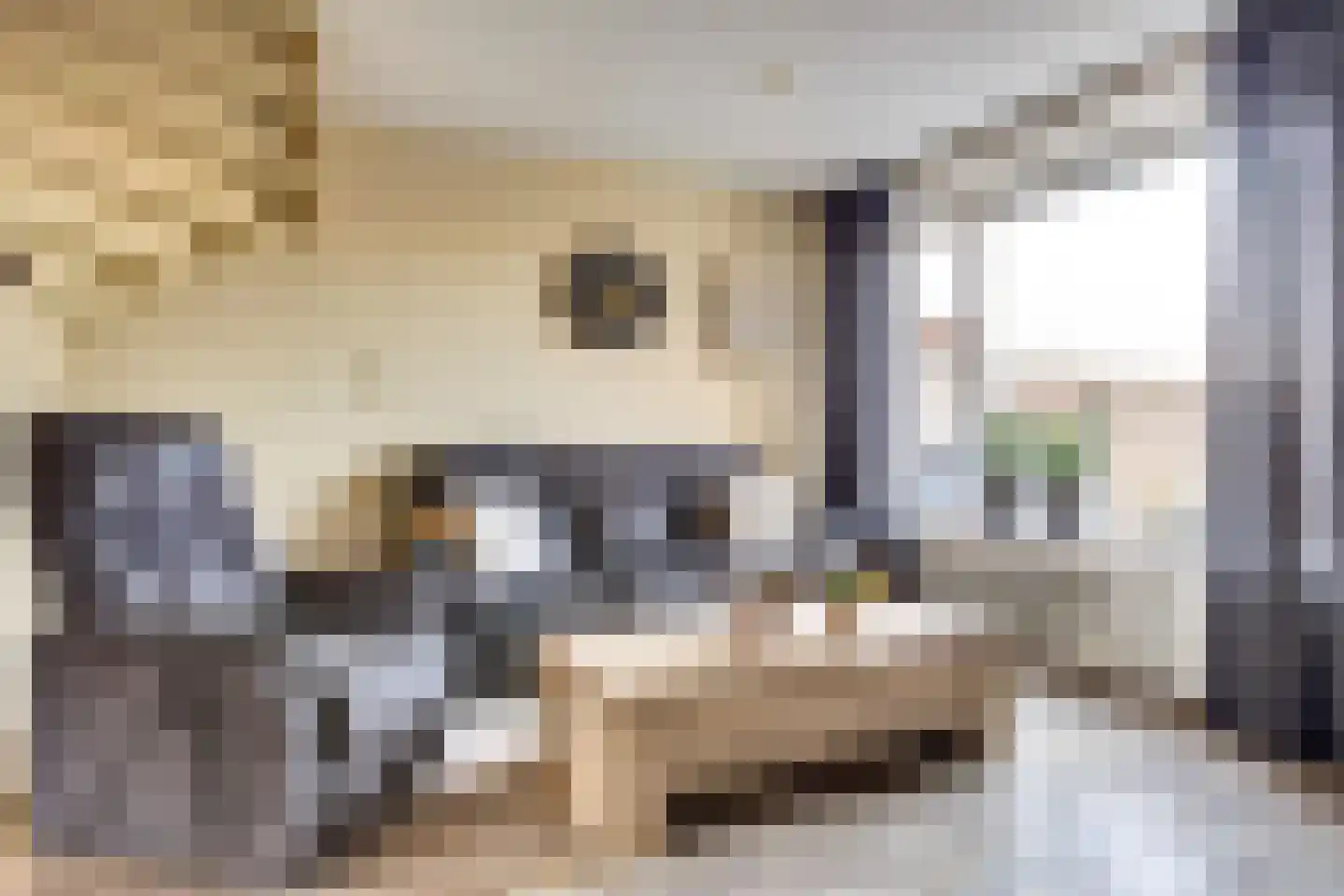 Meibloem 16 Opmeer thumbnail 9