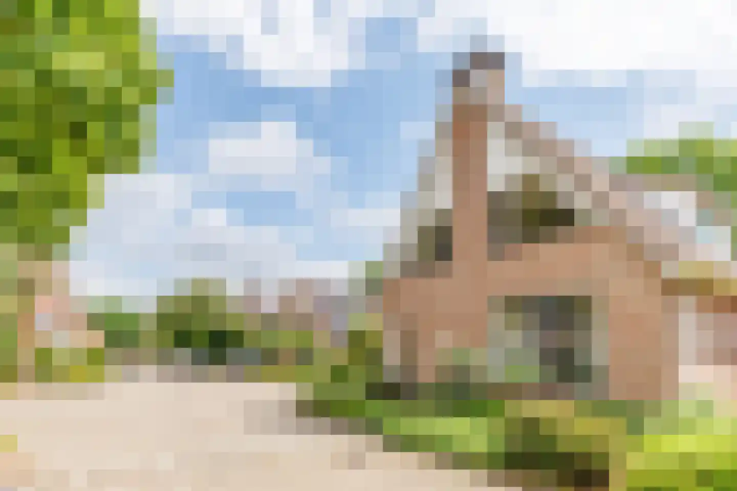 Meibloem 19 Apeldoorn thumbnail 23