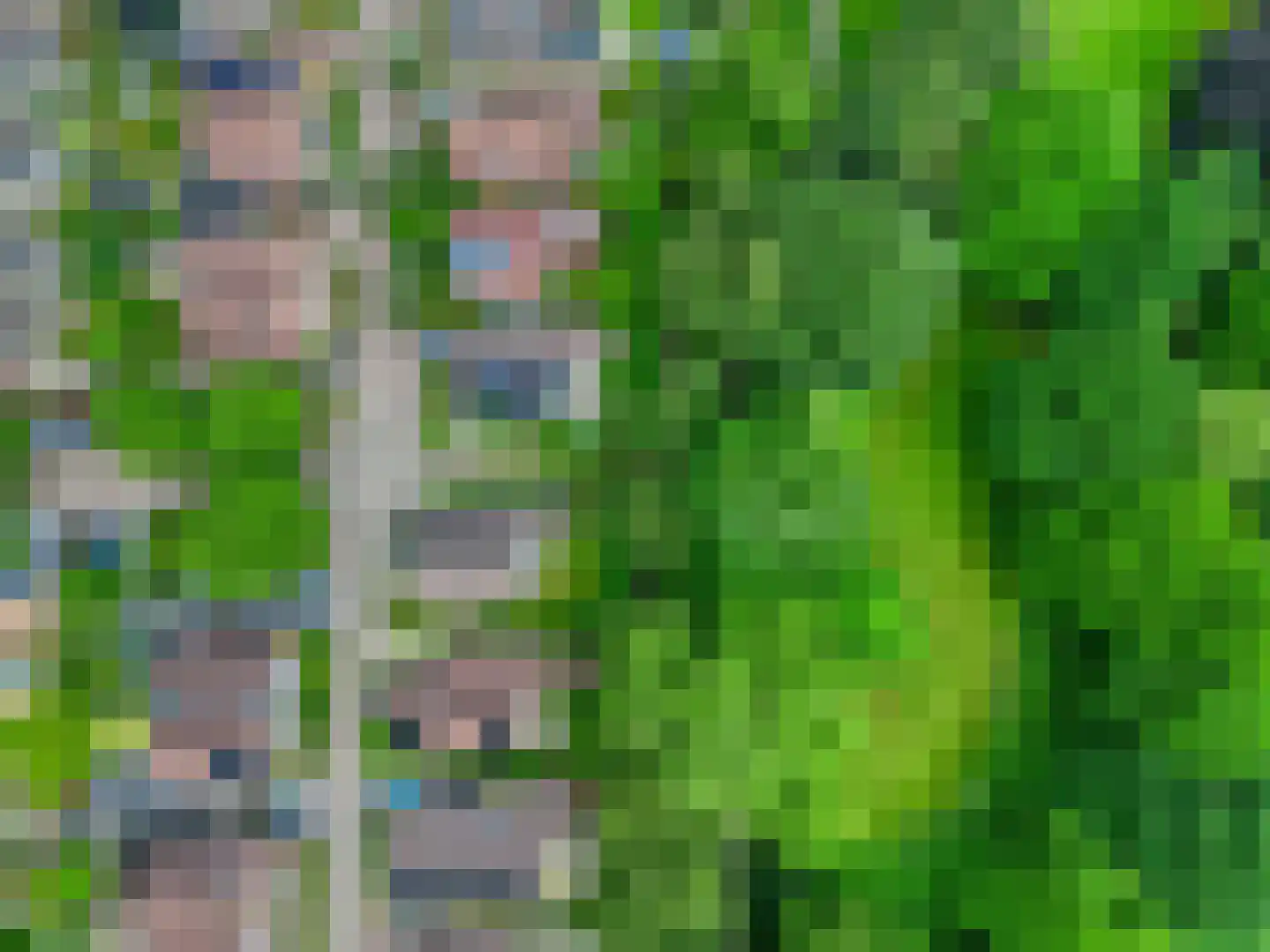 Meibloem 19 Apeldoorn thumbnail 25