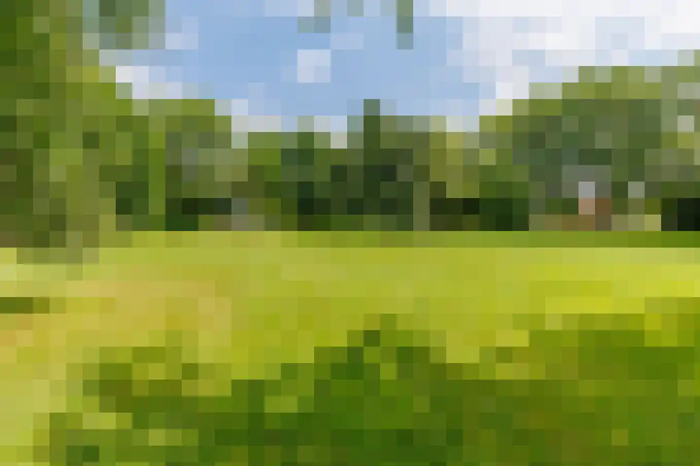 Meibloem 19 Apeldoorn thumbnail 28