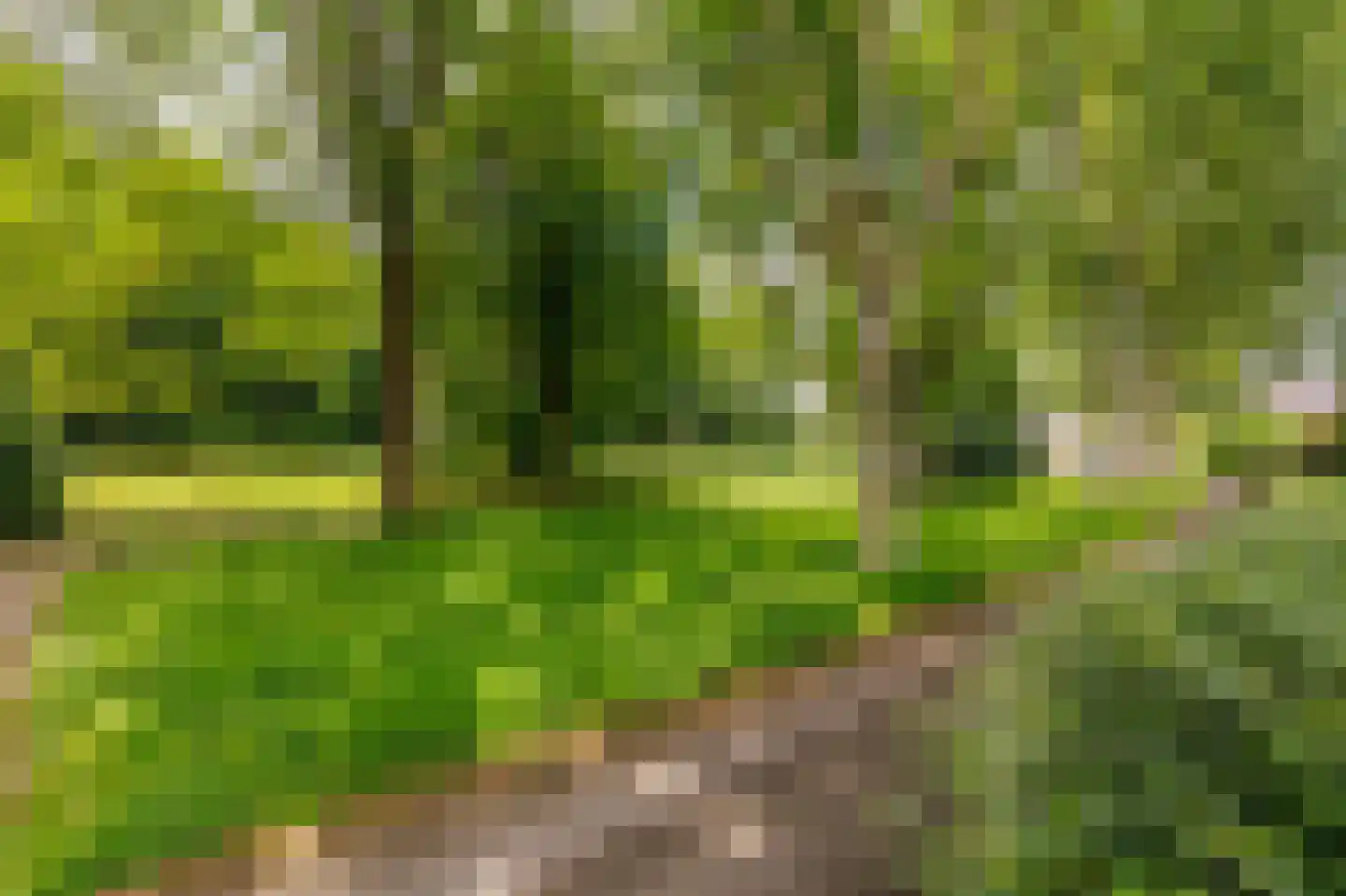 Meibloem 19 Apeldoorn thumbnail 29