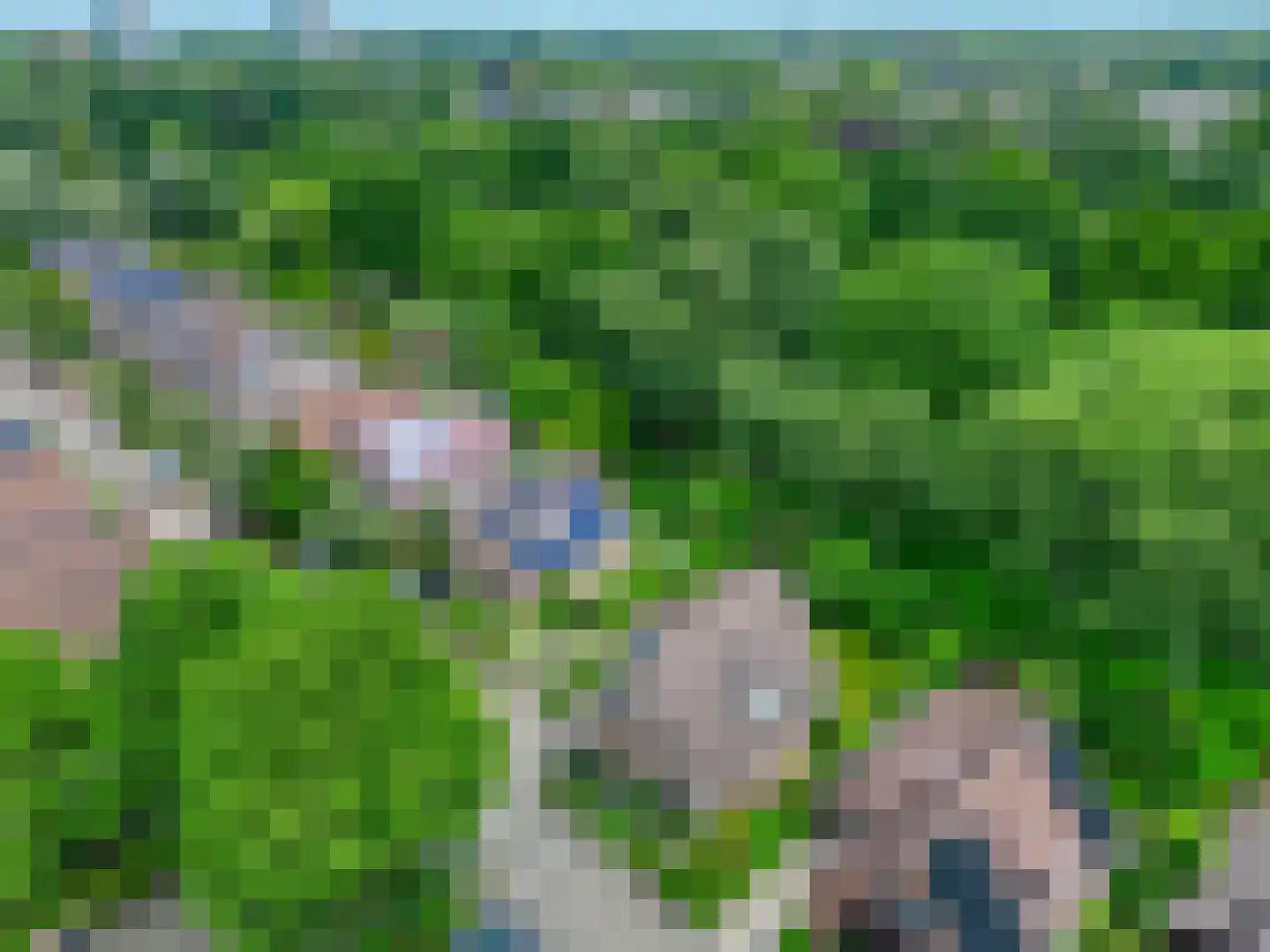 Meibloem 19 Apeldoorn thumbnail 4