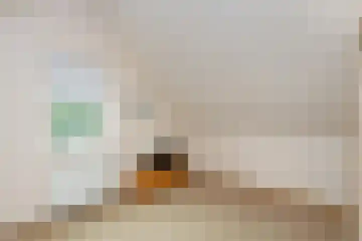 Meibloem 20 Apeldoorn thumbnail 21