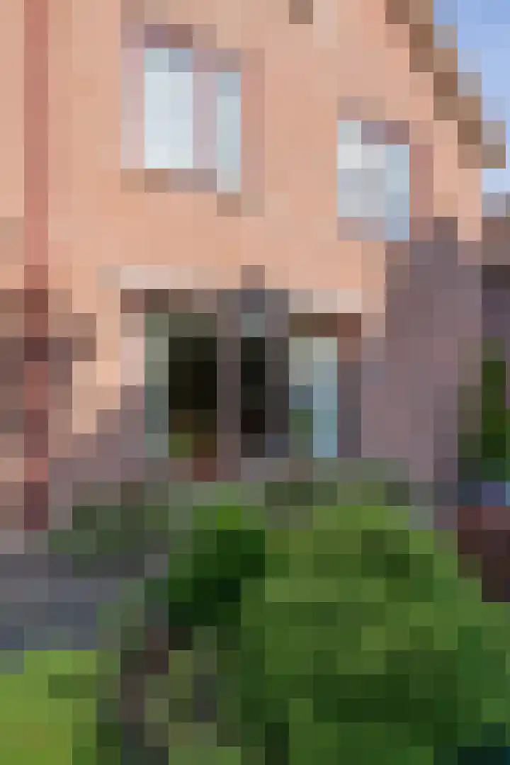 Meibloem 20 Apeldoorn thumbnail 23