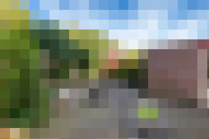 Meibloem 20 Apeldoorn thumbnail 24