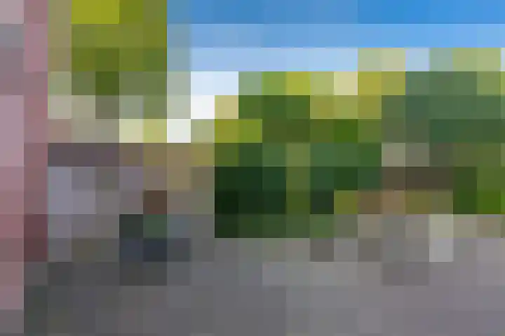 Meibloem 20 Apeldoorn thumbnail 25