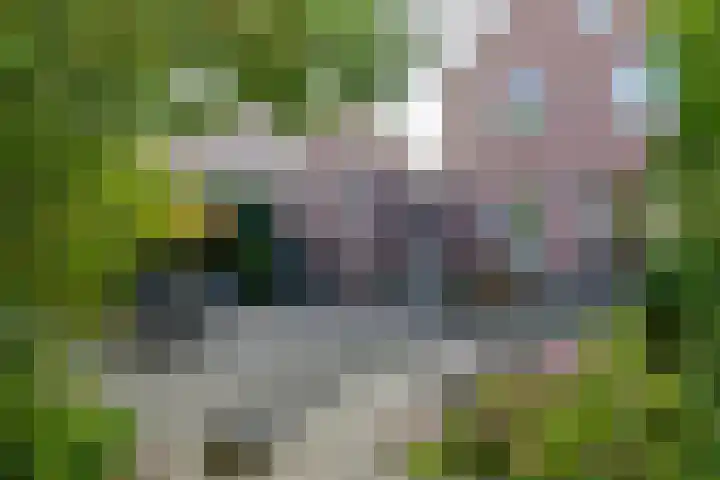 Meibloem 20 Apeldoorn thumbnail 27