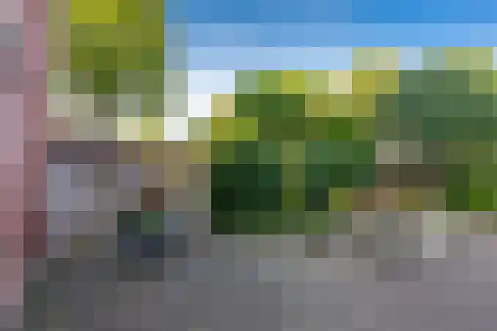 Meibloem 20 Apeldoorn thumbnail 4