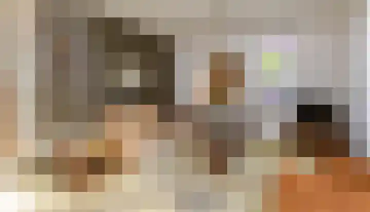 Meibloem 20 Apeldoorn thumbnail 7