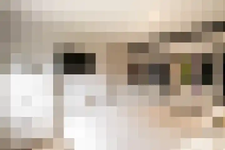 Meibloem 7 Berghem thumbnail 13