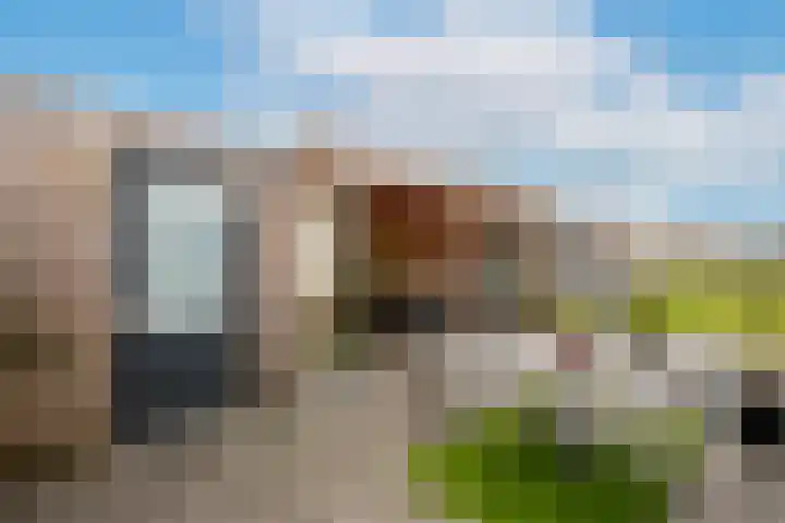 Meibloem 7 Berghem thumbnail 16
