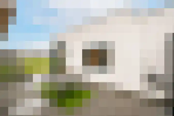 Meibloem 7 Berghem thumbnail 17