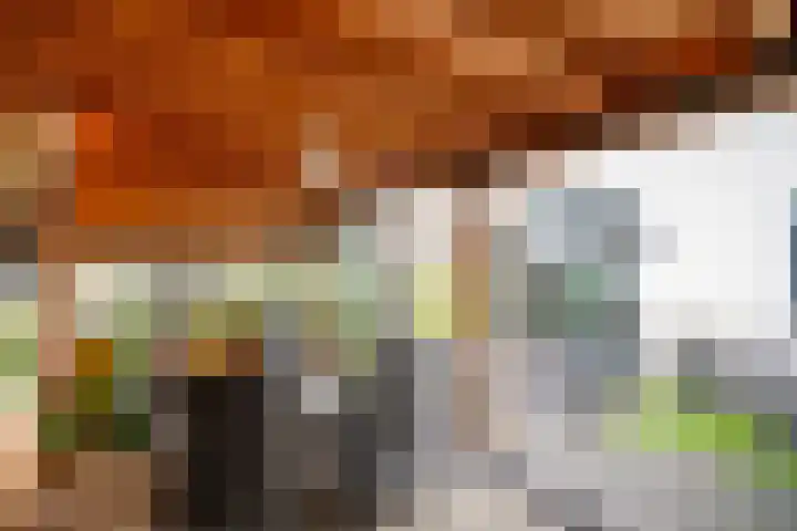 Meibloem 7 Berghem thumbnail 18