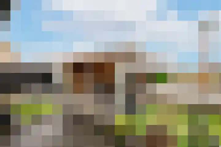 Meibloem 7 Berghem thumbnail 19