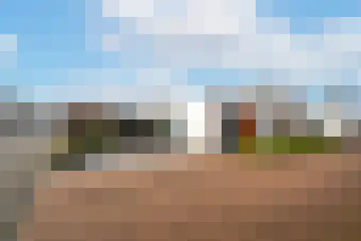 Meibloem 7 Berghem thumbnail 21