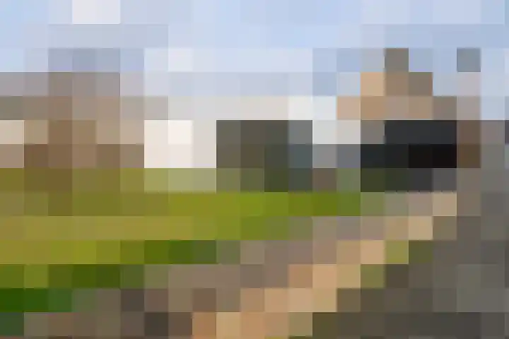 Meibloem 7 Berghem thumbnail 22