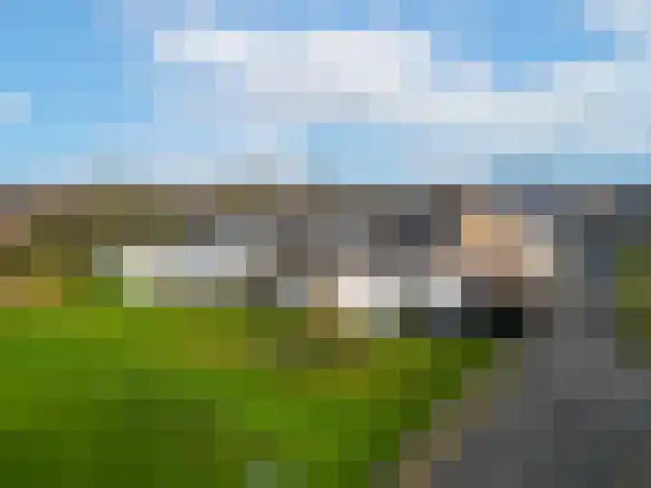 Meibloem 7 Berghem thumbnail 5