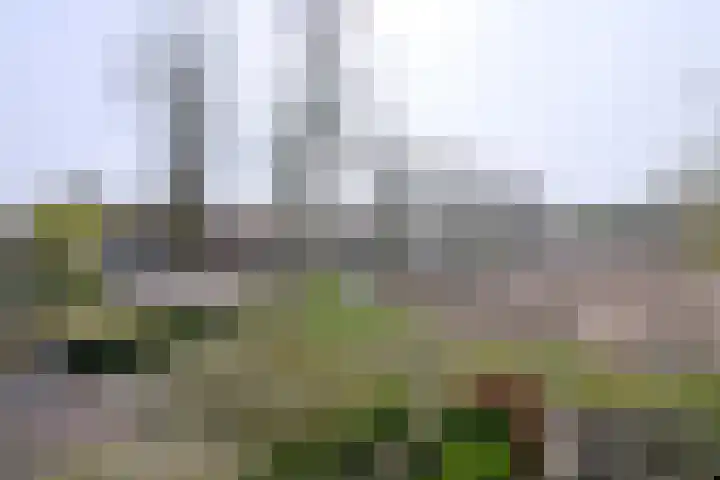 Meiboomstraat 16 Deventer thumbnail 12