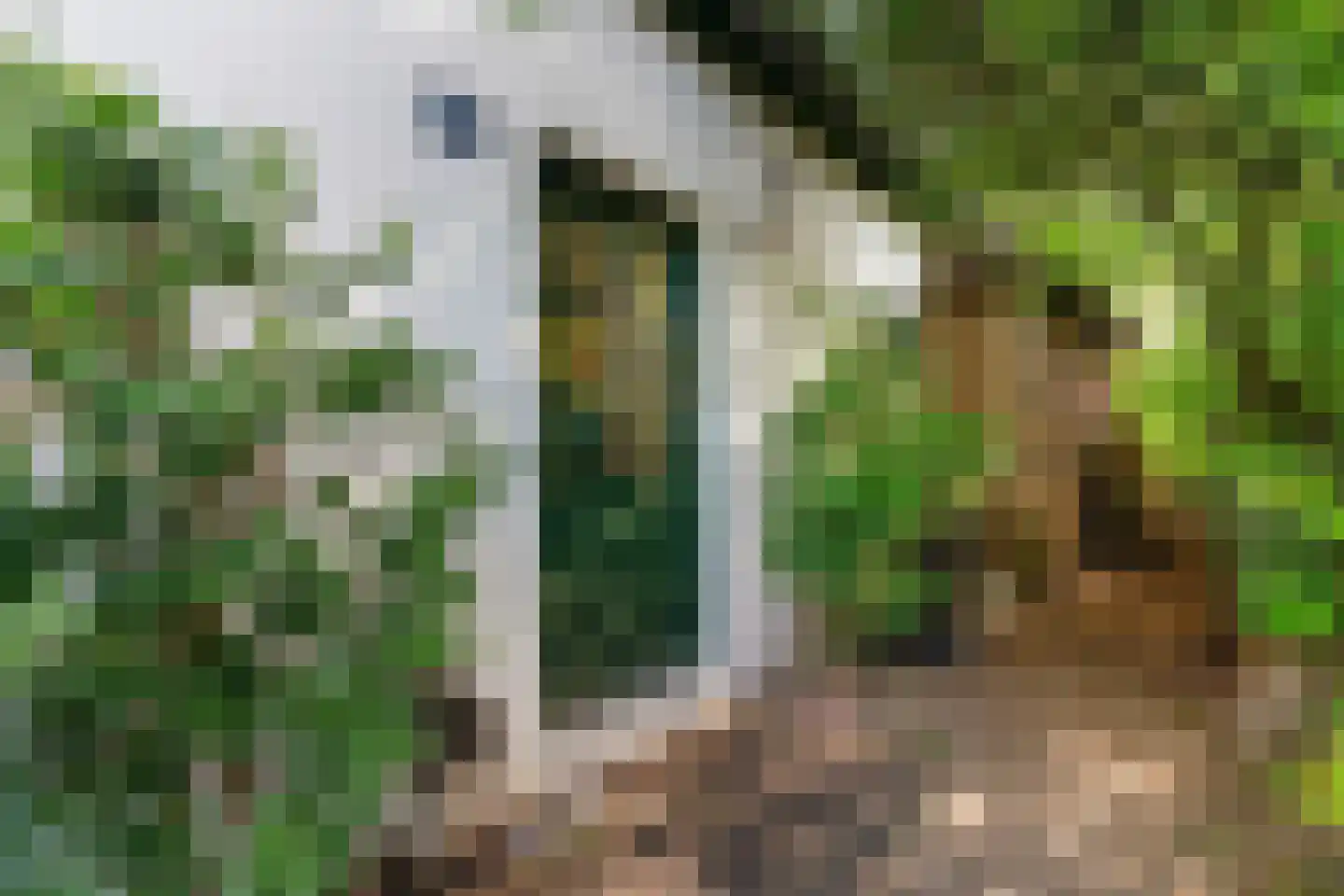 Meidijk 17 Zuilichem thumbnail 10
