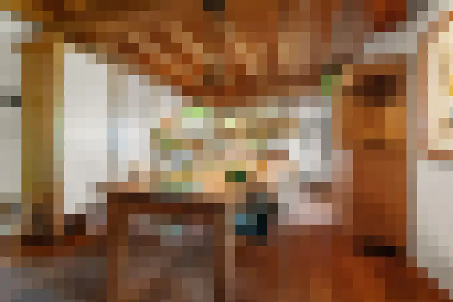 Meidijk 17 Zuilichem thumbnail 19