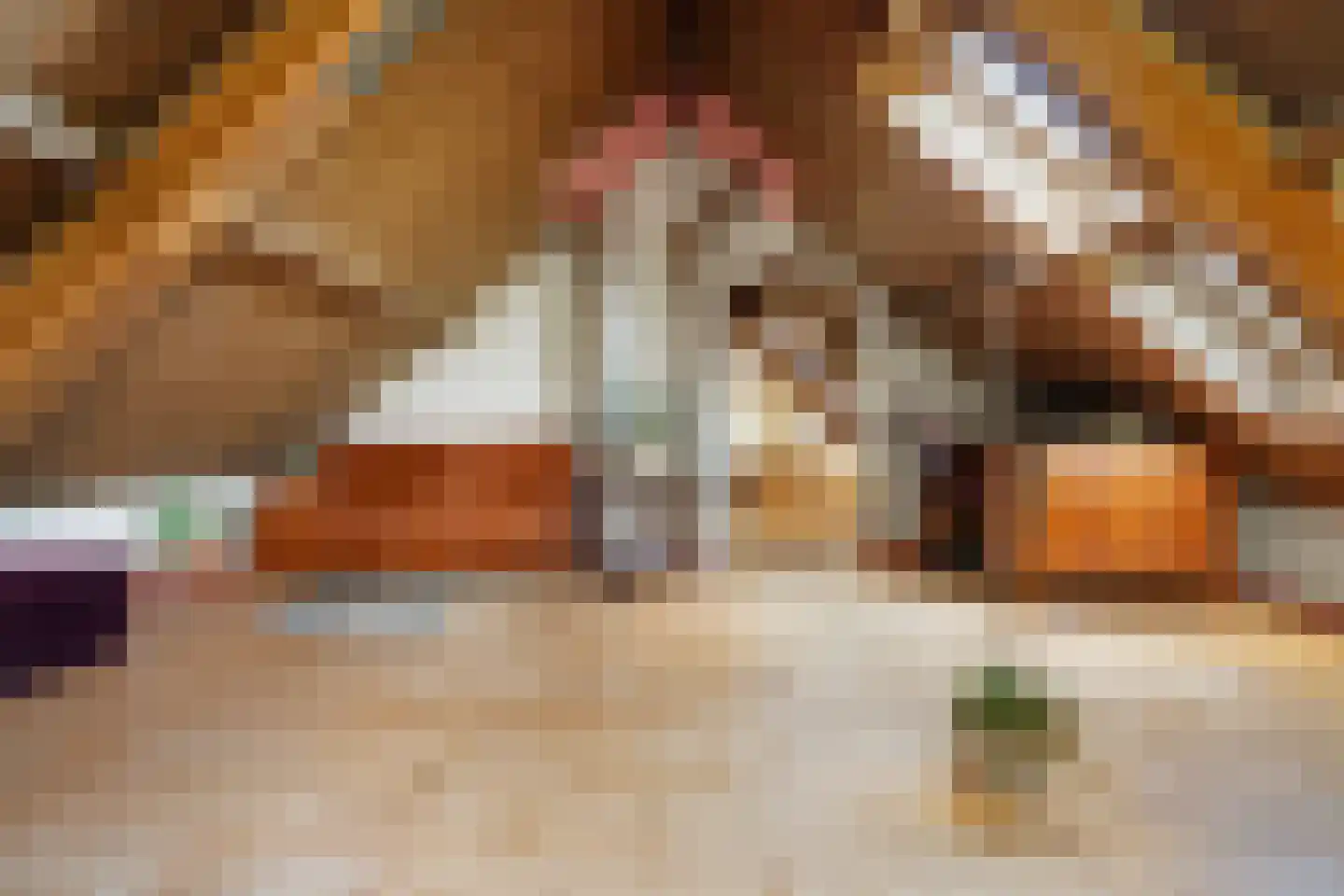 Meidijk 17 Zuilichem thumbnail 34
