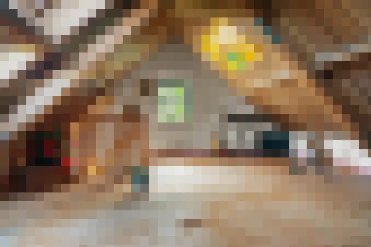 Meidijk 17 Zuilichem thumbnail 36