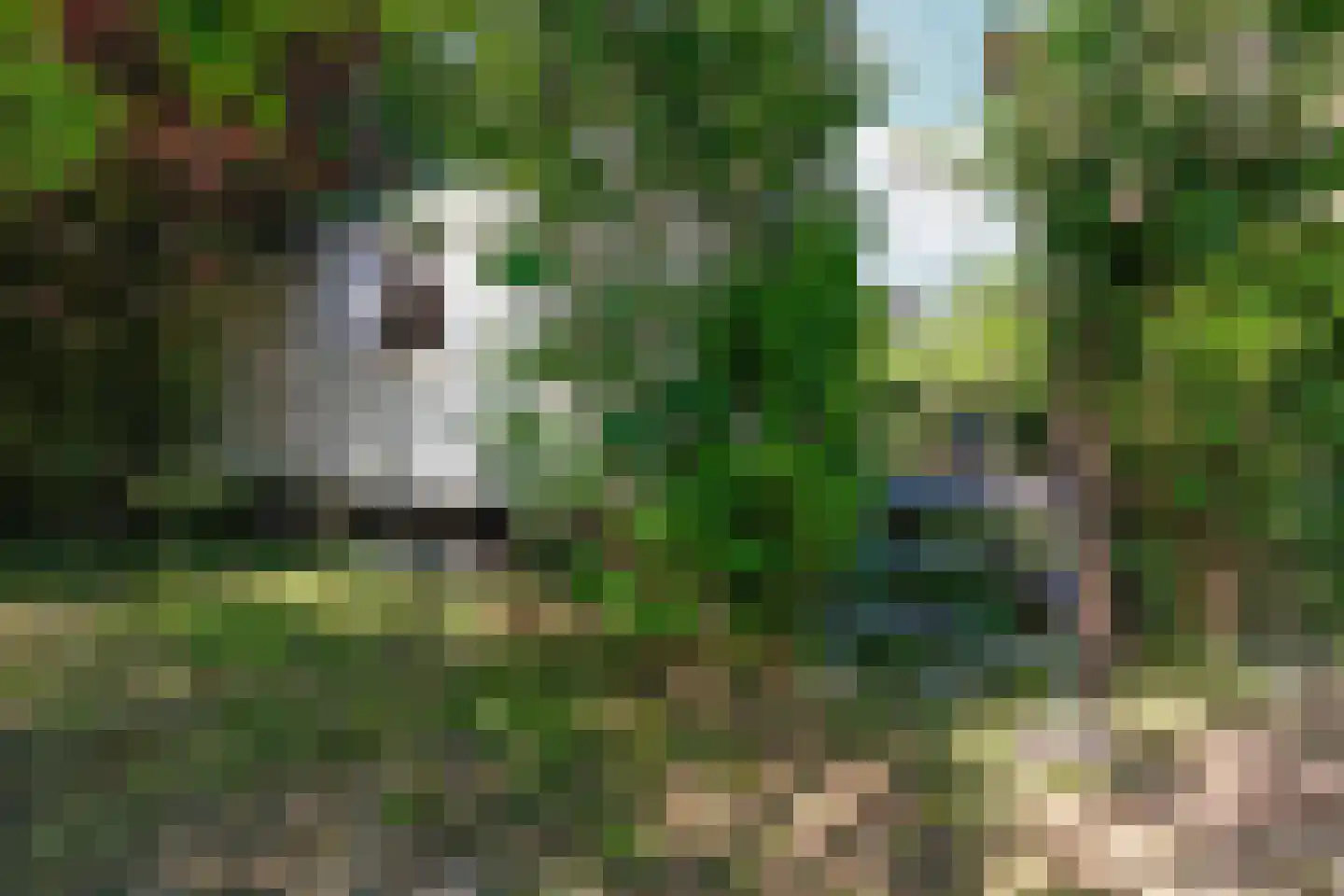 Meidijk 17 Zuilichem thumbnail 49