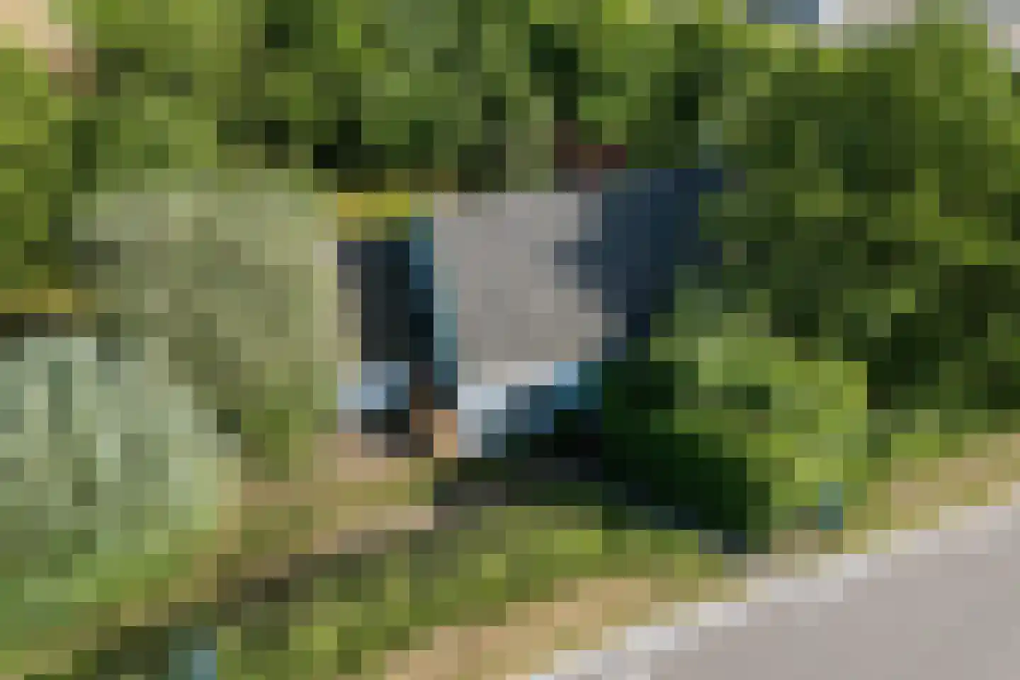 Meidijk 17 Zuilichem thumbnail 5