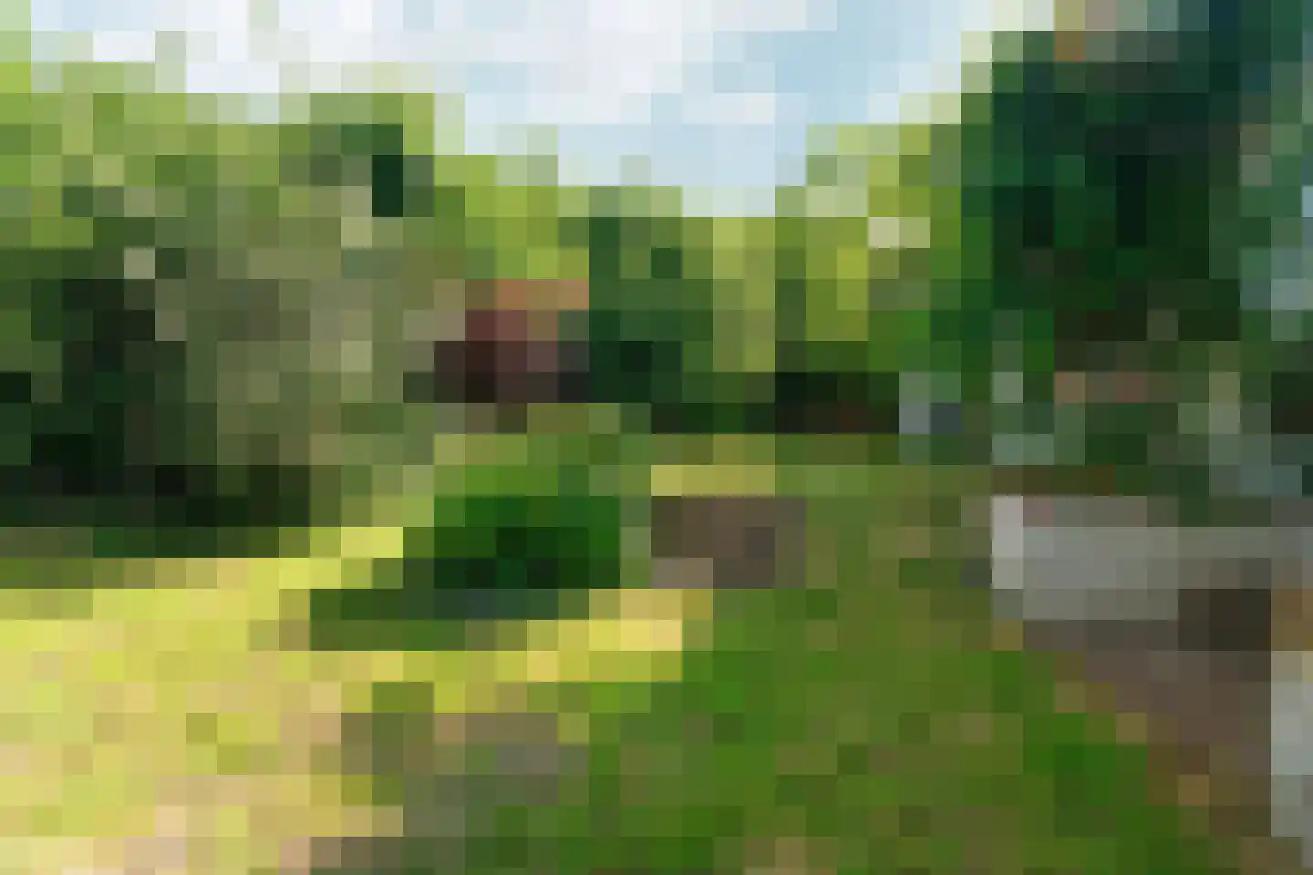 Meidijk 17 Zuilichem thumbnail 53