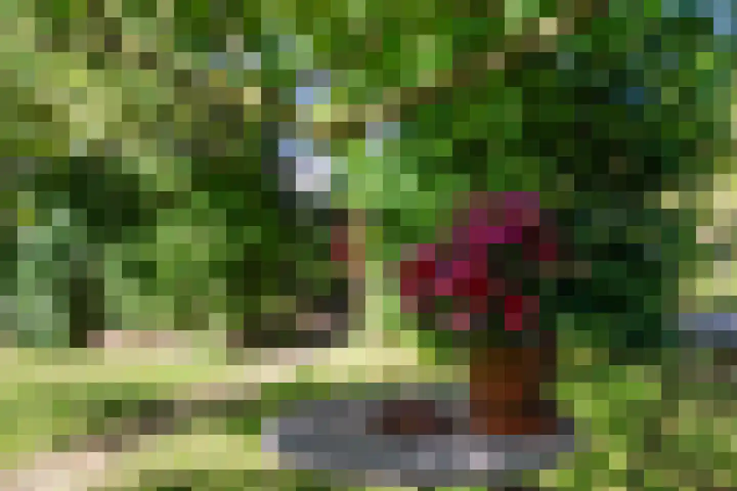 Meidijk 17 Zuilichem thumbnail 54