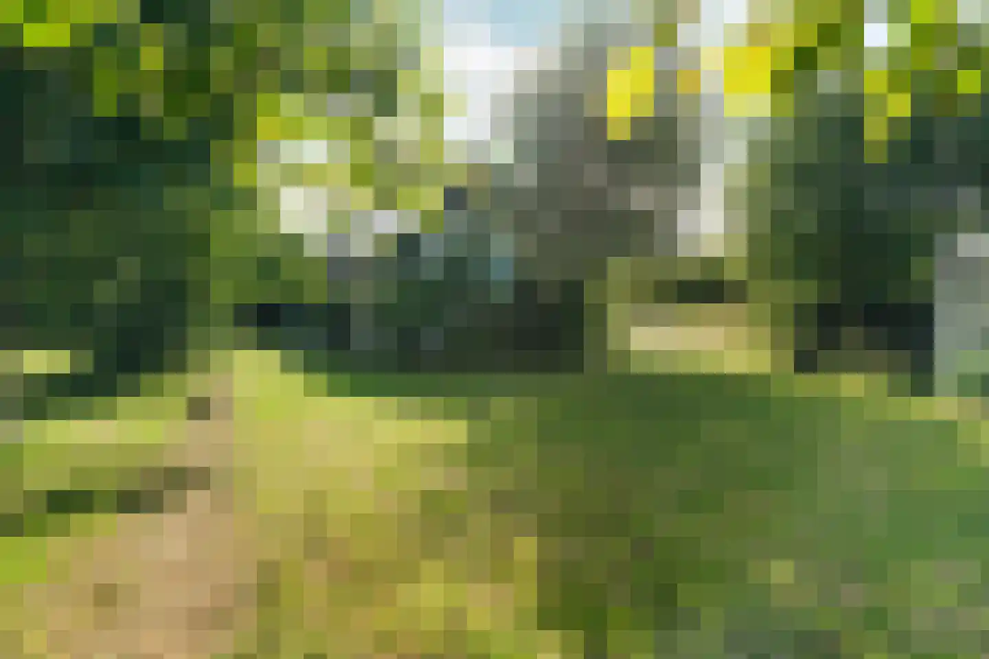 Meidijk 17 Zuilichem thumbnail 55