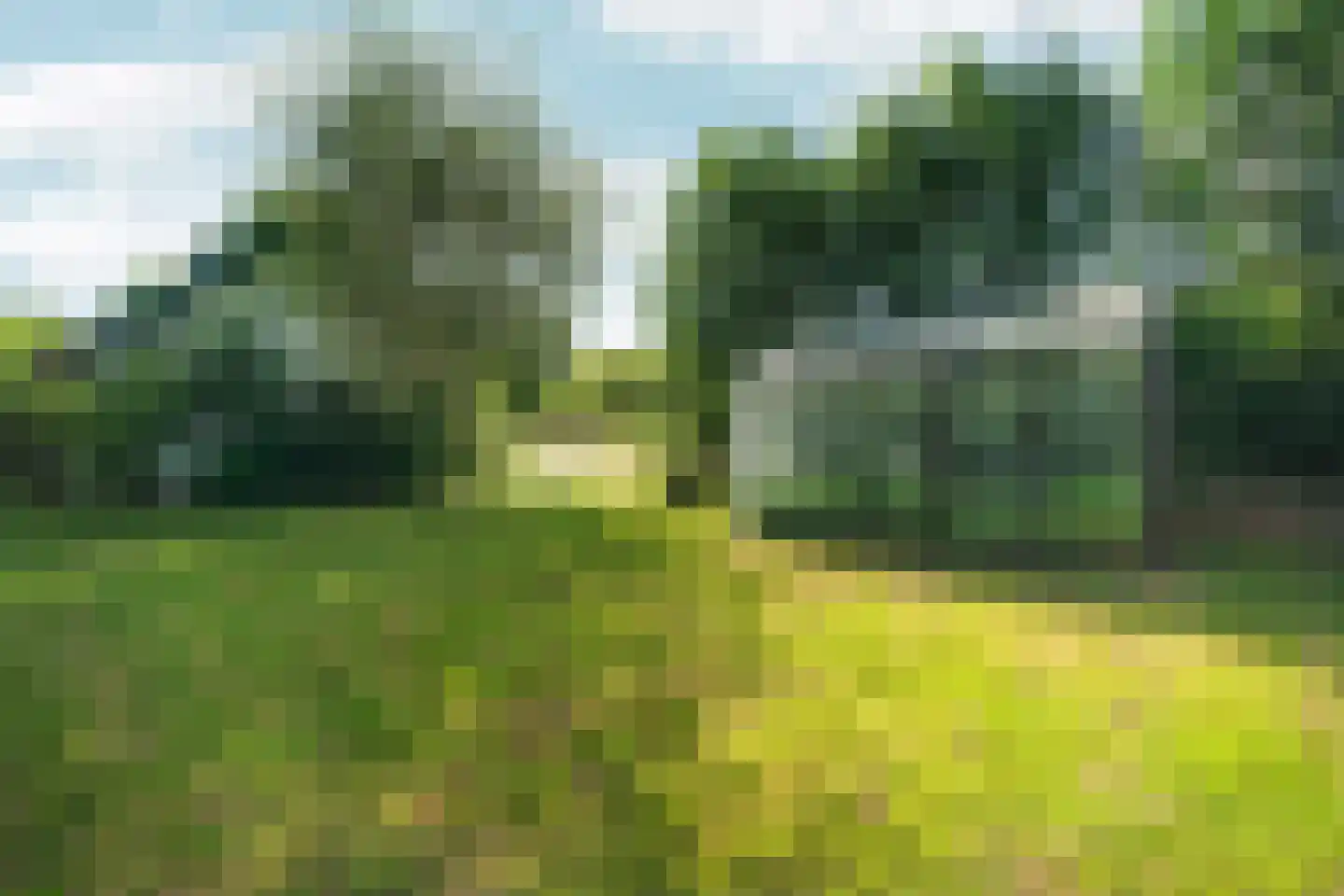 Meidijk 17 Zuilichem thumbnail 56