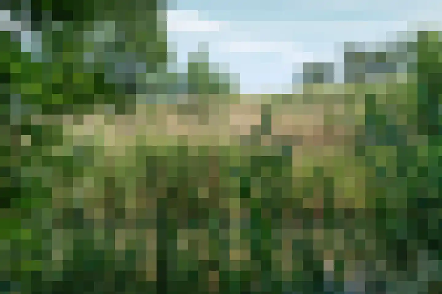 Meidijk 17 Zuilichem thumbnail 57