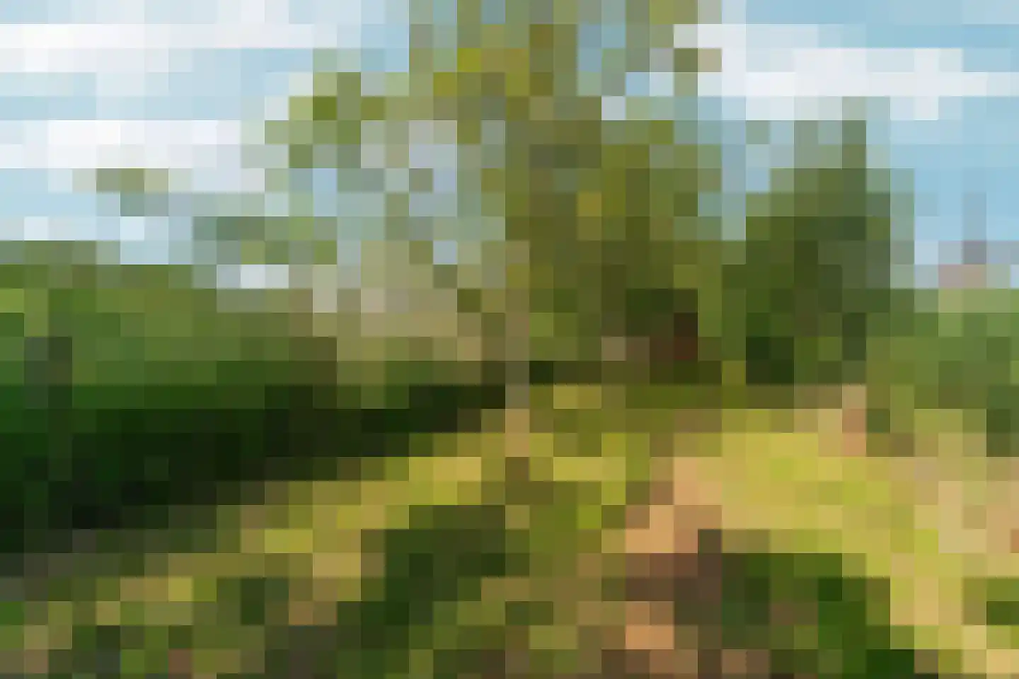 Meidijk 17 Zuilichem thumbnail 58