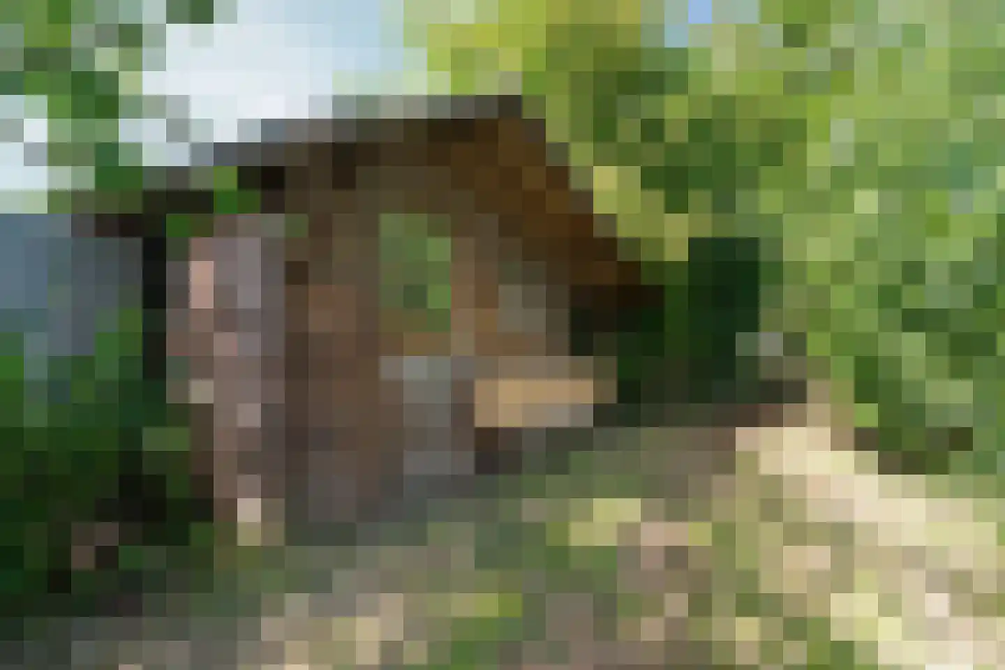 Meidijk 17 Zuilichem thumbnail 59