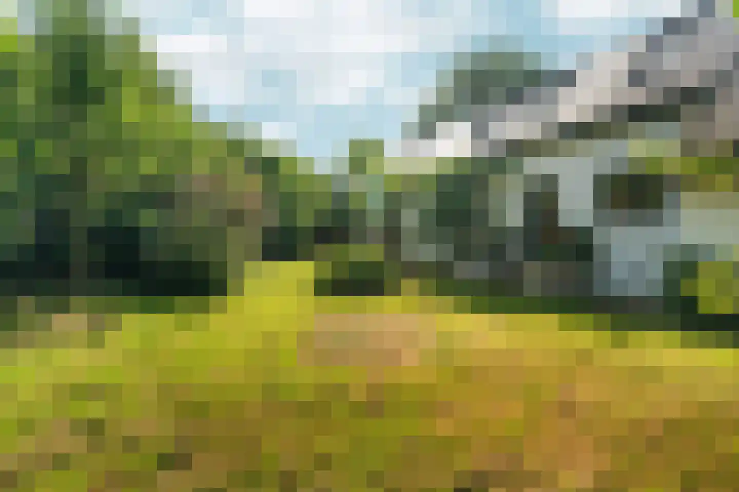 Meidijk 17 Zuilichem thumbnail 6