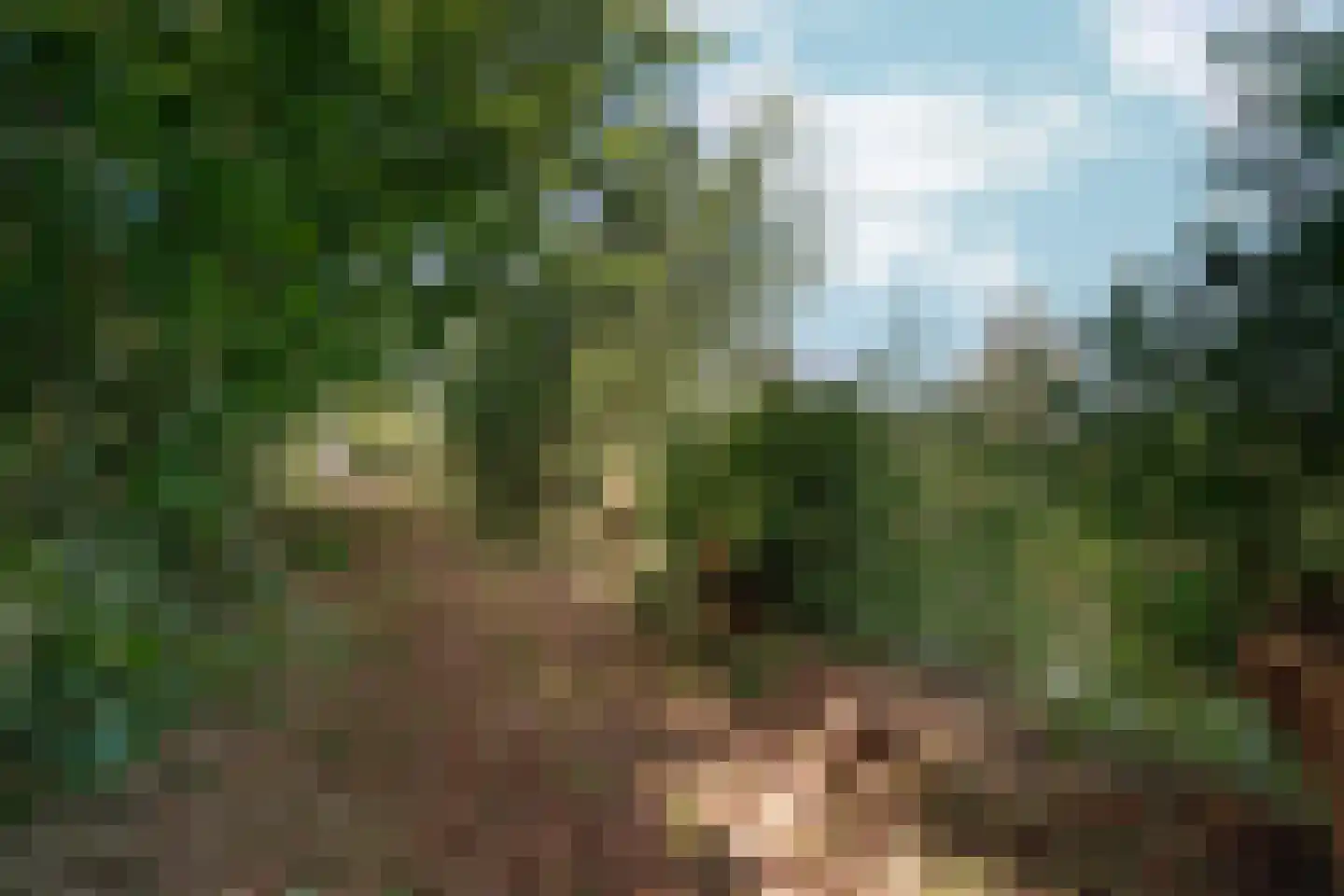 Meidijk 17 Zuilichem thumbnail 60