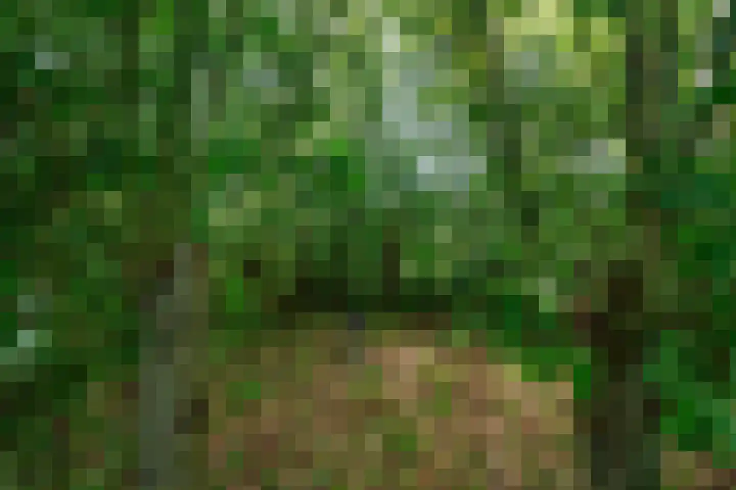 Meidijk 17 Zuilichem thumbnail 61