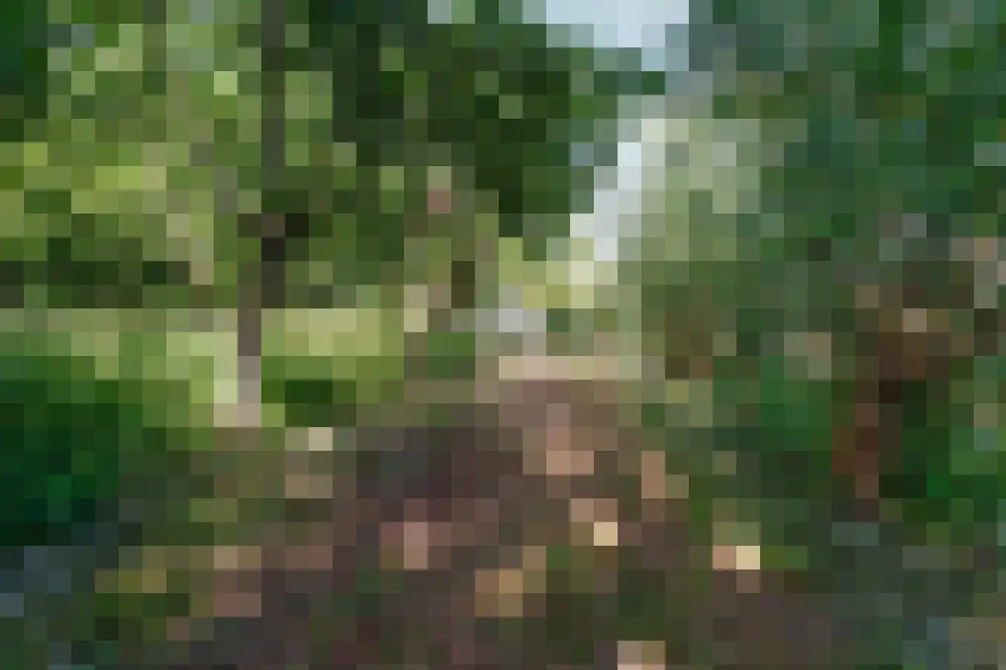 Meidijk 17 Zuilichem thumbnail 62