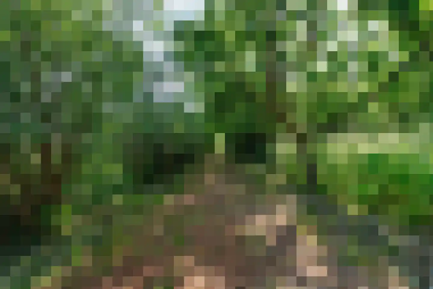 Meidijk 17 Zuilichem thumbnail 63