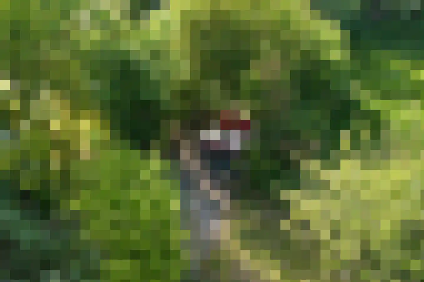 Meidijk 17 Zuilichem thumbnail 64