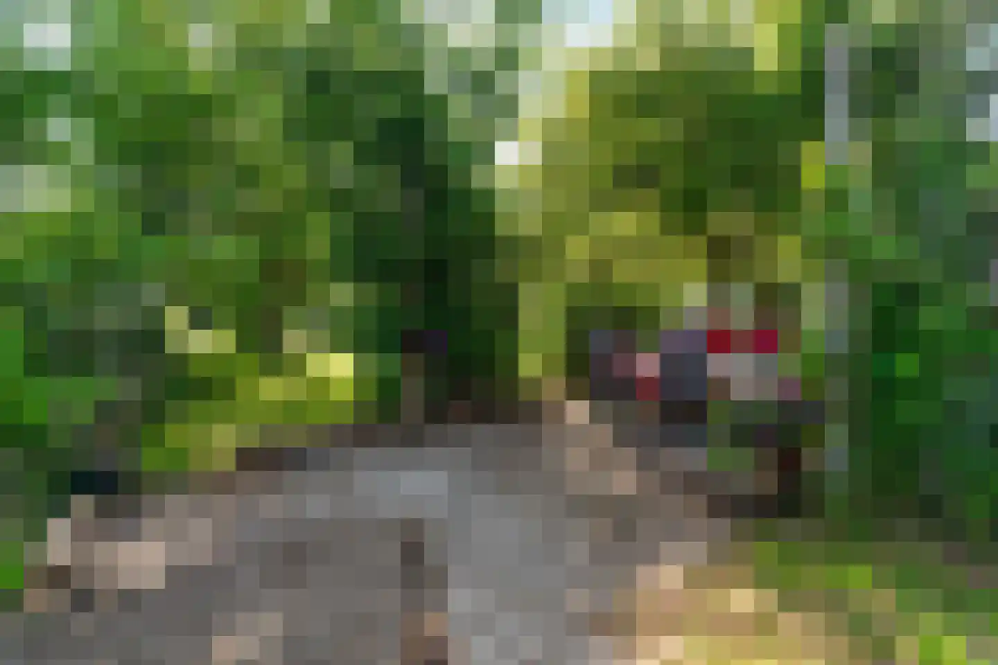 Meidijk 17 Zuilichem thumbnail 65