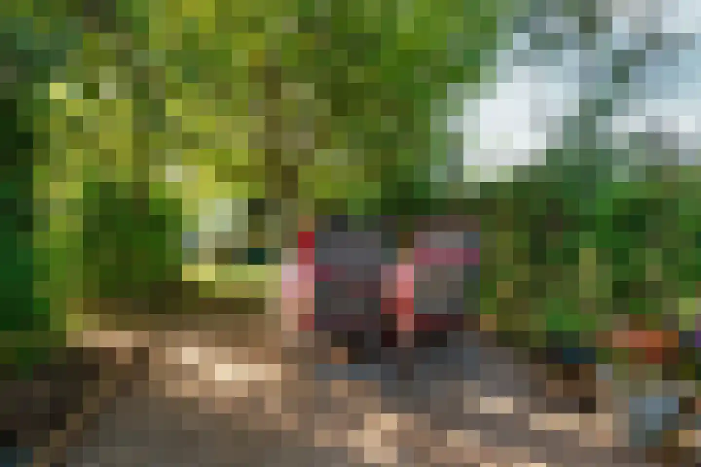 Meidijk 17 Zuilichem thumbnail 66