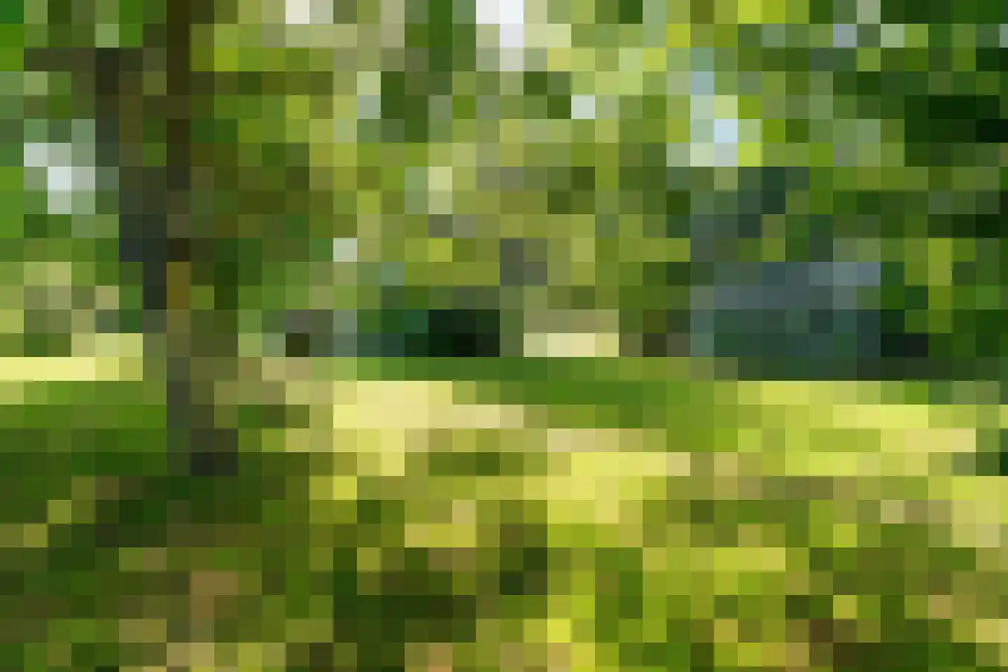 Meidijk 17 Zuilichem thumbnail 67