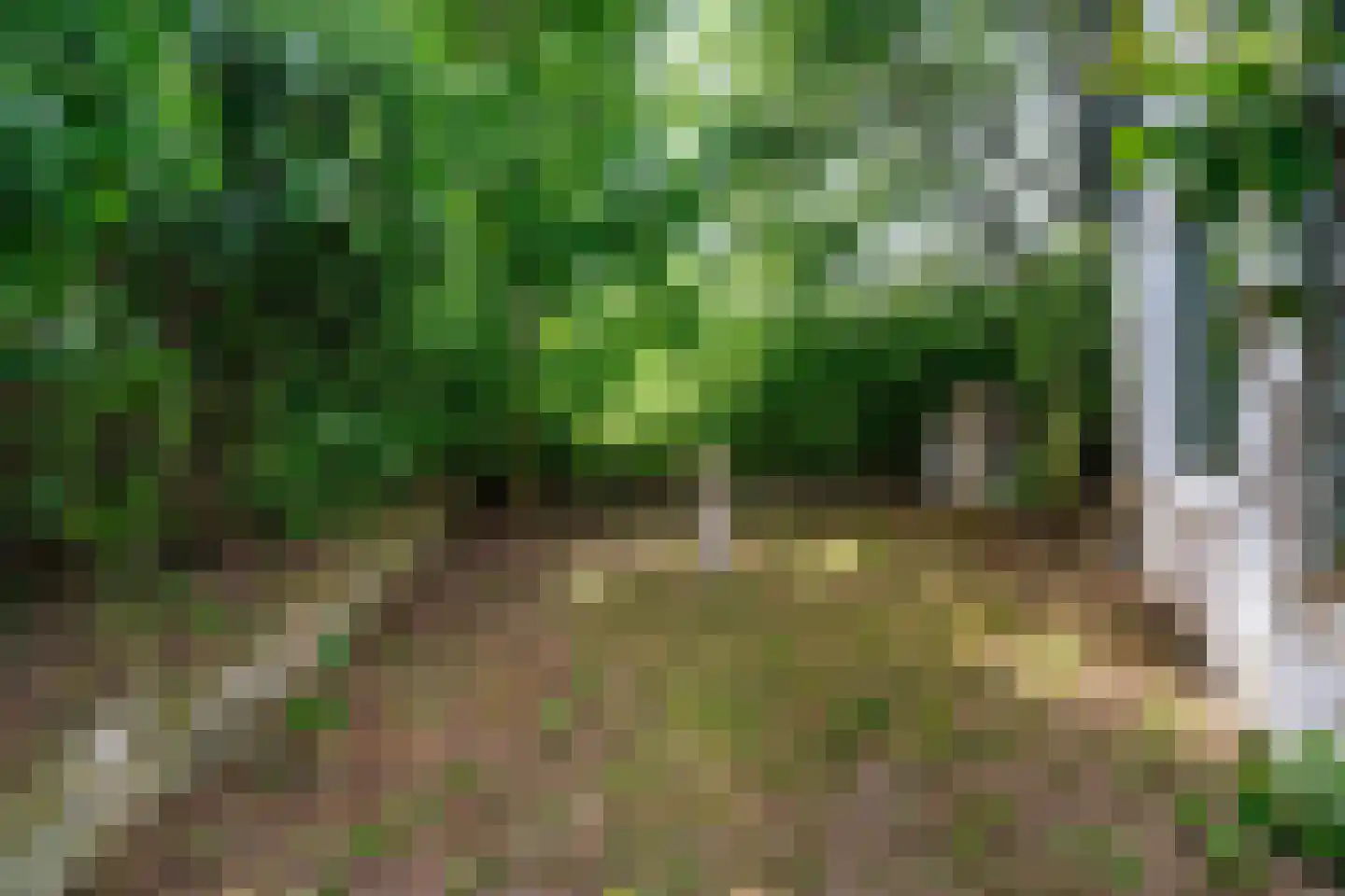 Meidijk 17 Zuilichem thumbnail 70