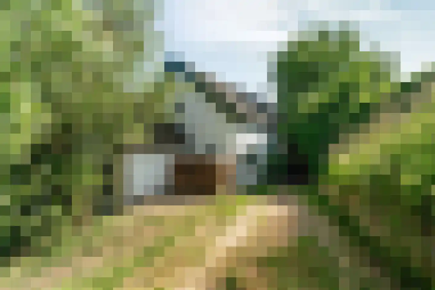 Meidijk 17 Zuilichem thumbnail 71