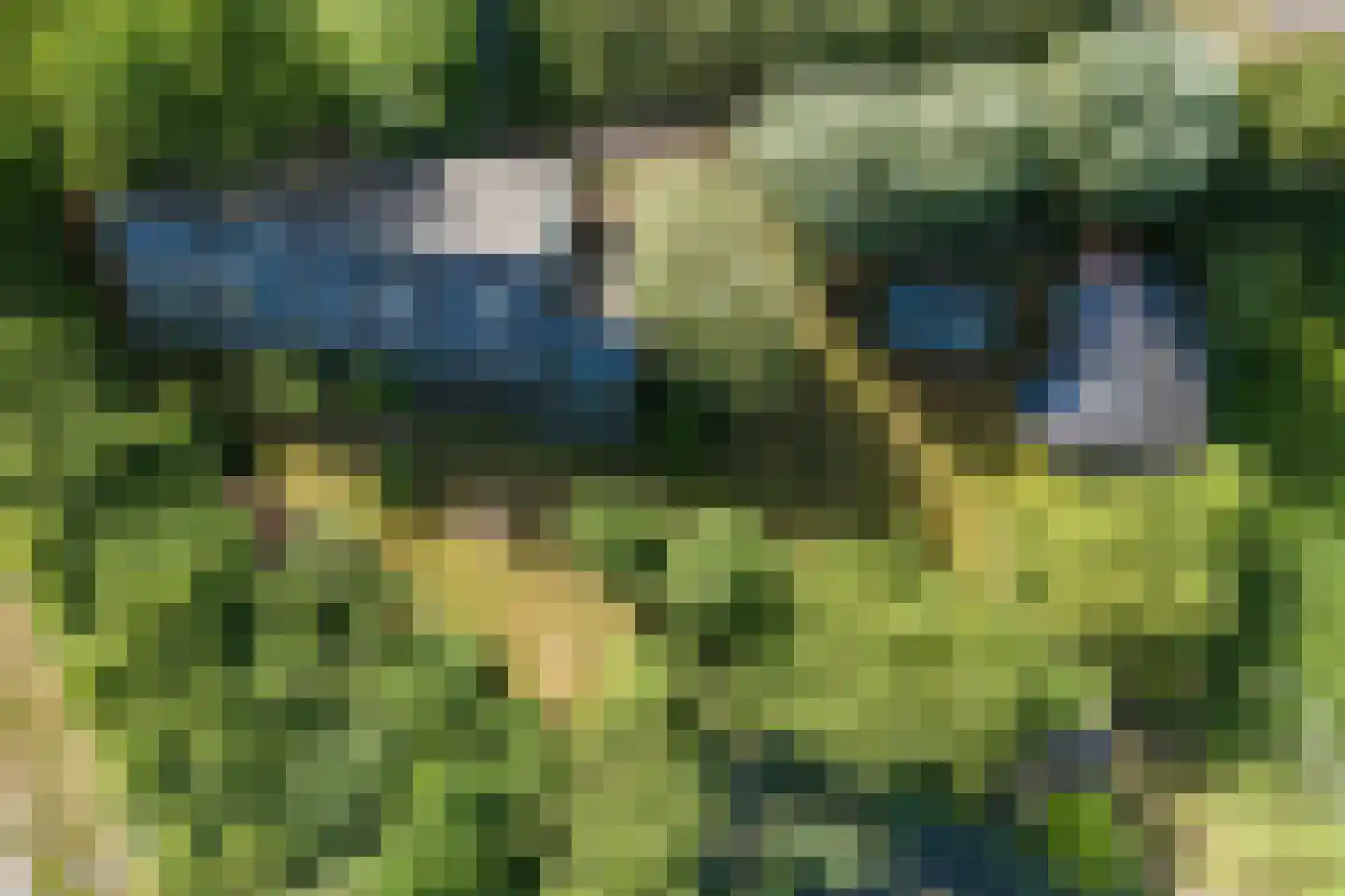 Meidijk 17 Zuilichem thumbnail 72