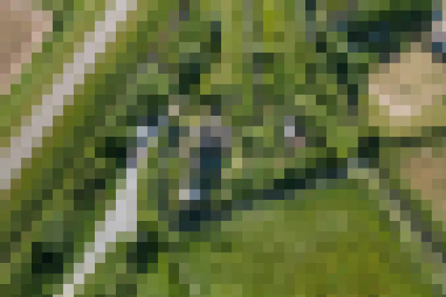 Meidijk 17 Zuilichem thumbnail 73