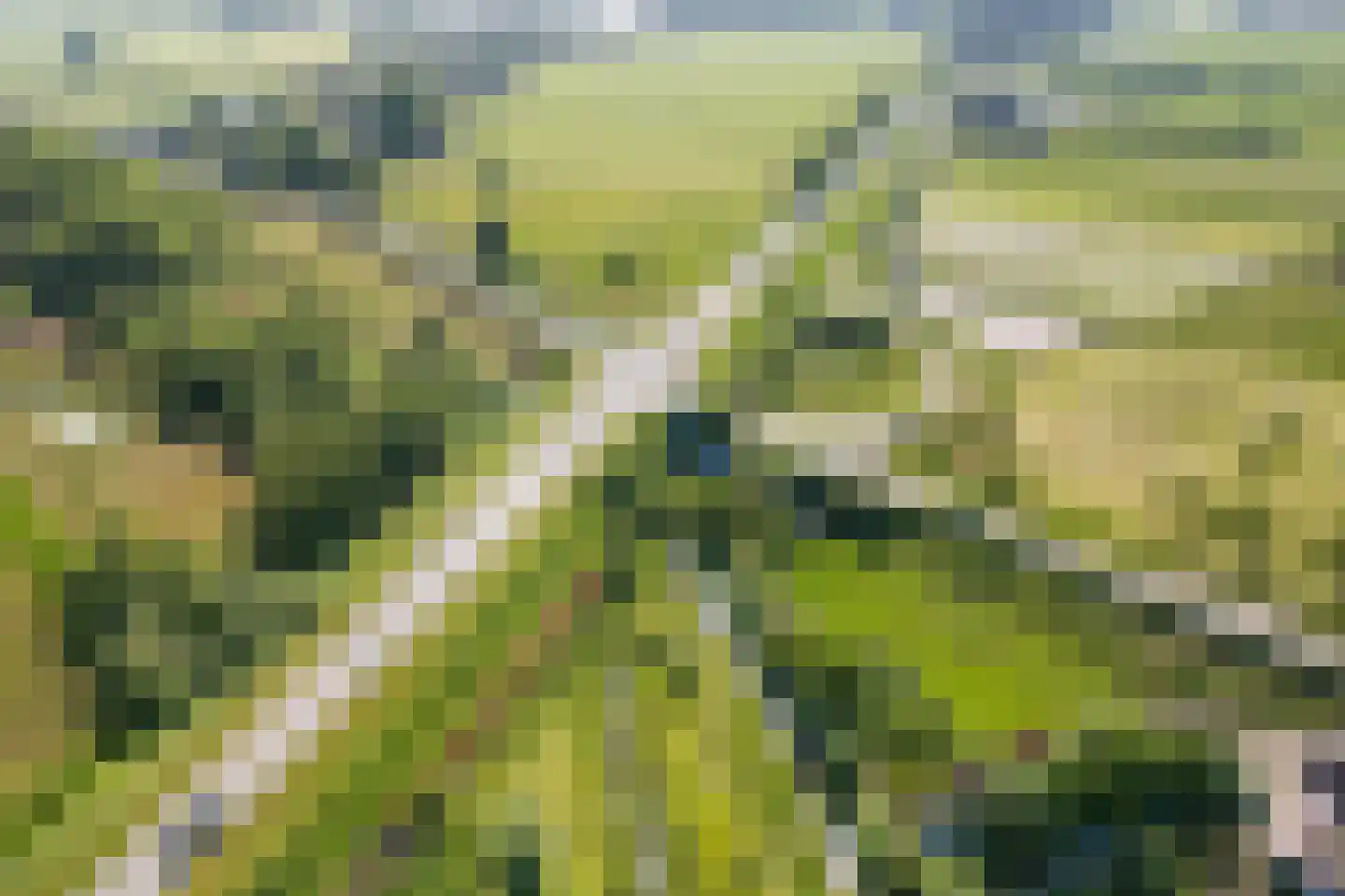 Meidijk 17 Zuilichem thumbnail 74